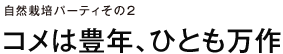自然栽培パーティその２ コメは豊年、ひとも万作