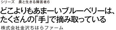 シリーズ　農と生きる障害者6 どこよりもあまーいブルーベリーは、たくさんの「手」で摘み取っている 株式会社金沢ちはらファーム