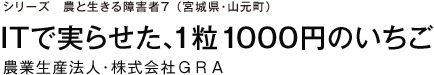 シリーズ　農と生きる障害者7　（宮城県・山元町）ITで実らせた、1粒1000円のいちご 農業生産法人・株式会社ＧＲＡ