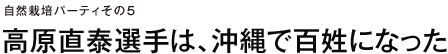 自然栽培パーティその5 高原直泰選手は、沖縄で百姓になった