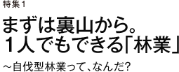特集1　まずは裏山から。１人でもできる「林業」　～自伐型林業って、なんだ？
