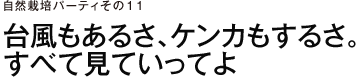 自然栽培パーティ　その11　台風もあるさ、ケンカもするさ。すべて見ていってよ