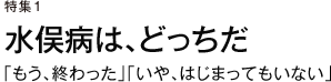 特集１　水俣病は、どっちだ「もう、終わった」「いや、はじまってもいない」