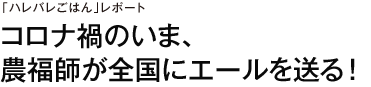 「ハレバレごはん」レポート　コロナ禍のいま、自慢の野菜で、全国にエールを！